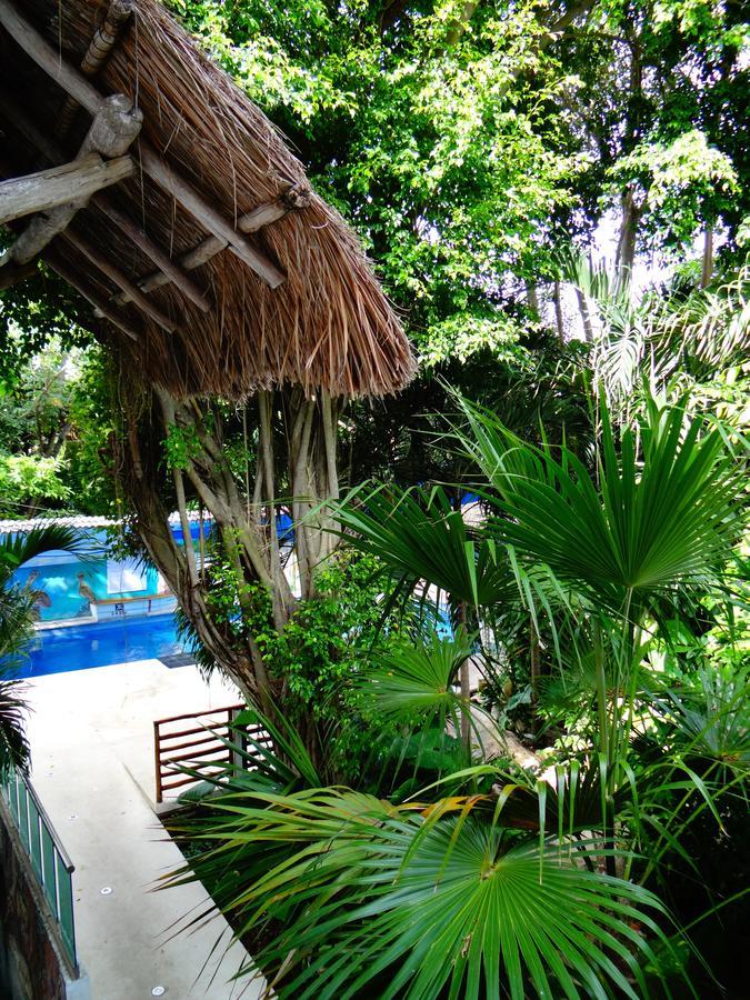 بلايا ديل كارمن Casa Tucan Hotel المظهر الخارجي الصورة