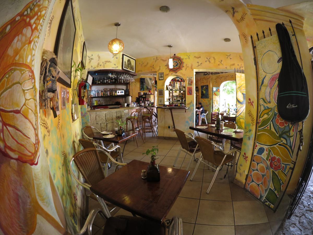 بلايا ديل كارمن Casa Tucan Hotel المظهر الخارجي الصورة
