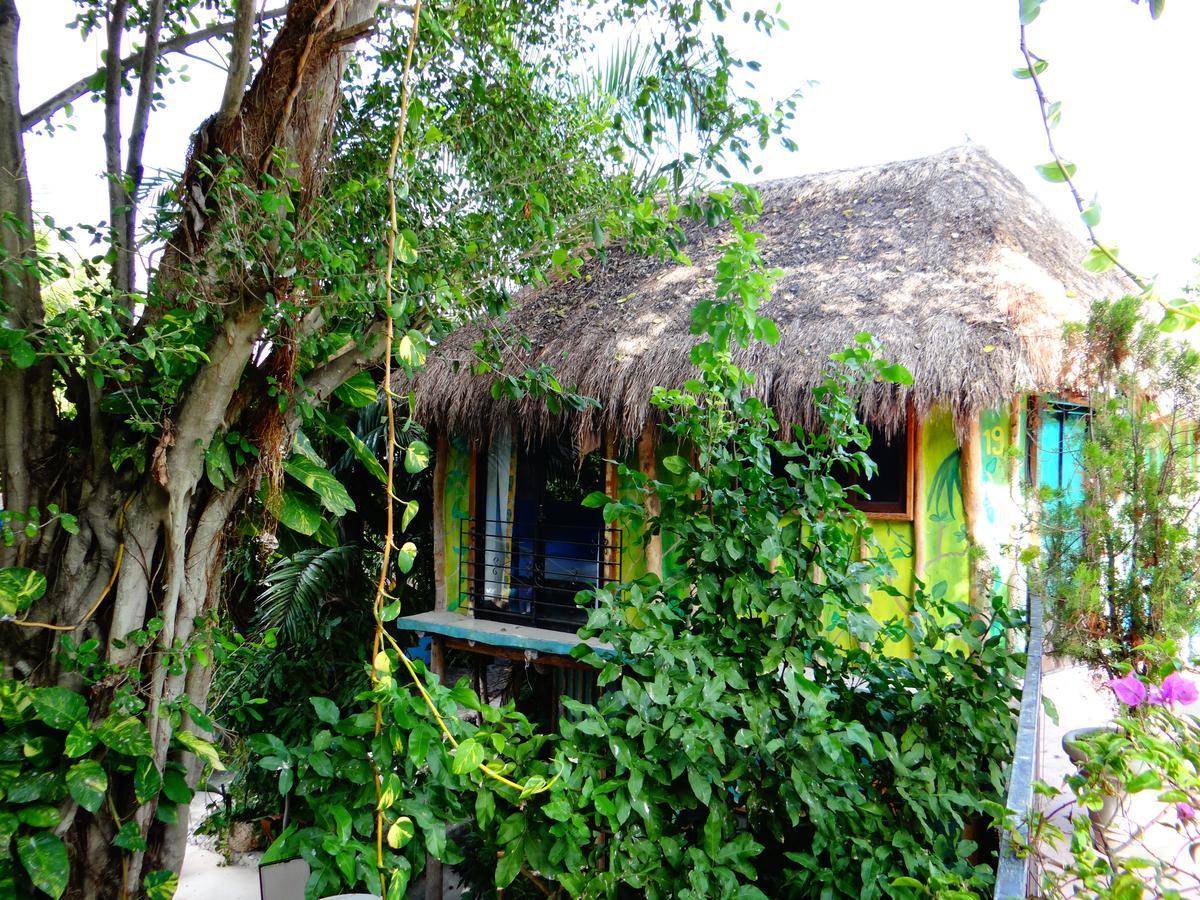 بلايا ديل كارمن Casa Tucan Hotel المظهر الخارجي الصورة
