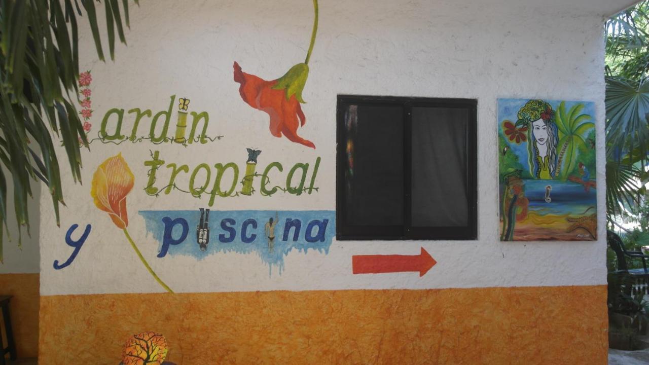 بلايا ديل كارمن Casa Tucan Hotel المظهر الخارجي الصورة